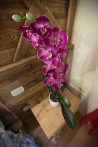 Agroturismo Agriturismo Alle Baite