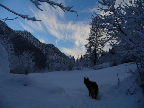 Agroturismo Agriturismo Alle Baite