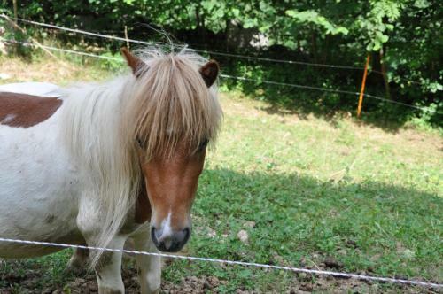 Agroturismo Agriturismo Alle Baite