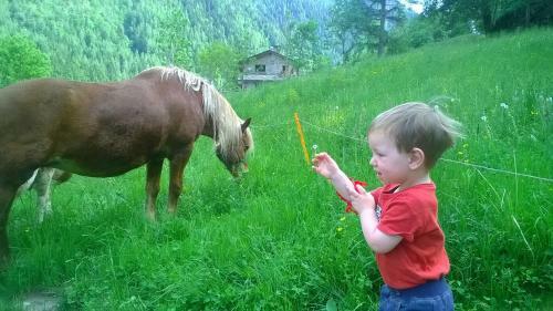 Agroturismo Agriturismo Alle Baite