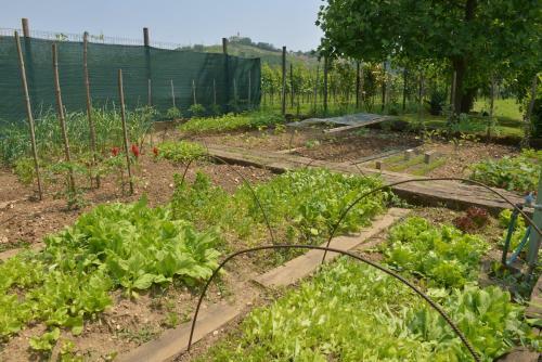 Bed & Breakfast Casale Santa Rita