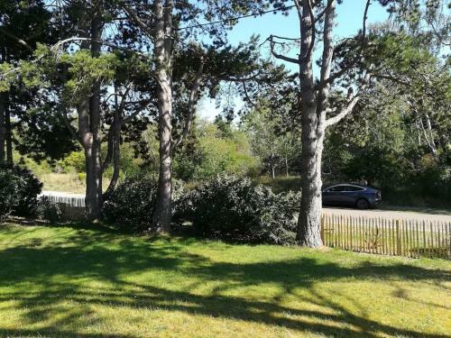 Charmante Villa Entre Dunes, For�t Et Mer