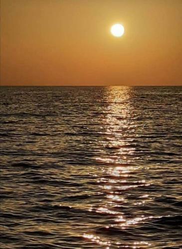 Hostal La Dama Bianca Bovo Marina