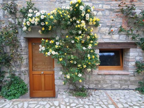 Apartamento La Pietra E Le Rose