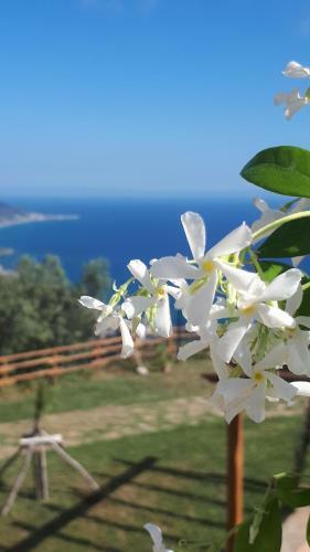 Agroturismo Tenuta Belvedere Cilento