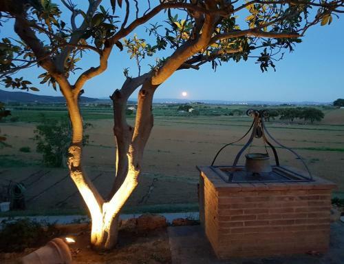 Agroturismo Agriturismo Diaccia Botrona