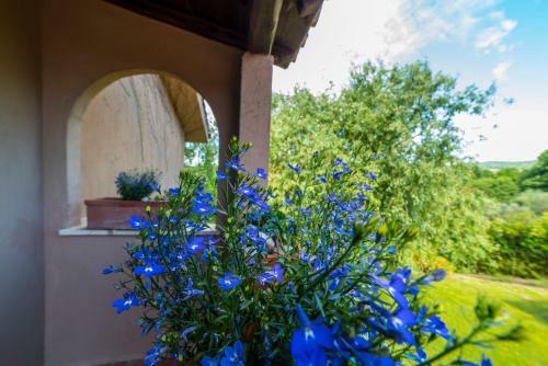 B&B Acque Lucenti