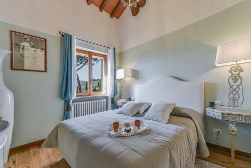 Agroturismo Fattoria Viticcio