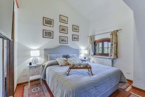 Agroturismo Fattoria Viticcio