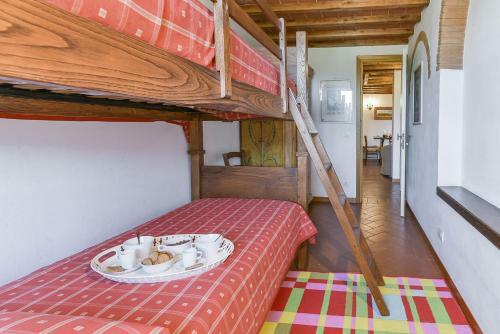 Agroturismo Fattoria Viticcio