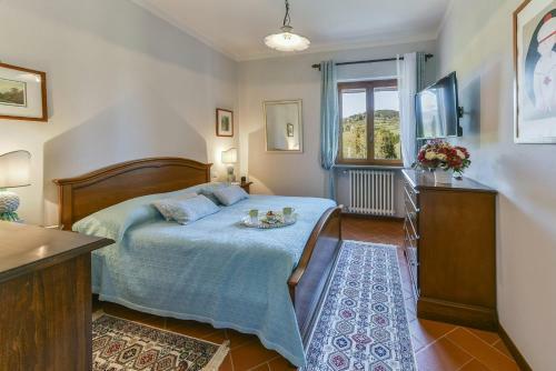 Agroturismo Fattoria Viticcio