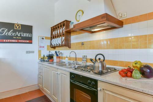 Agroturismo Fattoria Viticcio