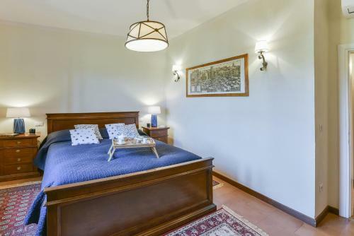 Agroturismo Fattoria Viticcio