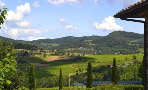 Agroturismo Fattoria Viticcio