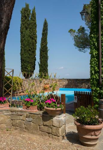 Agroturismo Fattoria Viticcio
