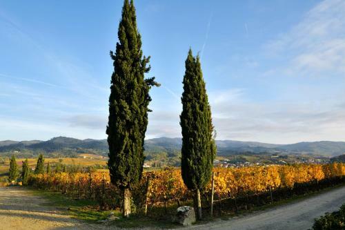 Agroturismo Fattoria Viticcio
