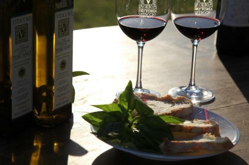 Agroturismo Fattoria Viticcio