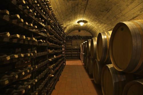 Agroturismo Fattoria Viticcio