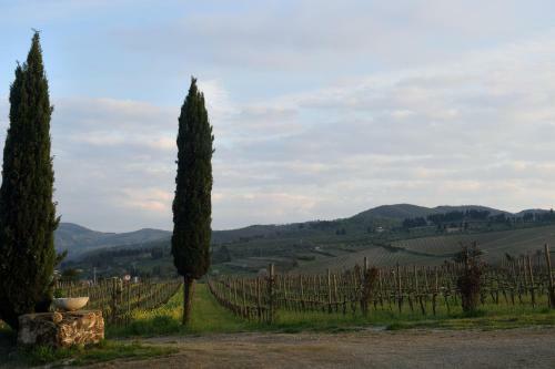 Agroturismo Fattoria Viticcio