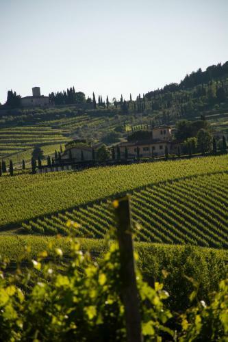 Agroturismo Fattoria Viticcio