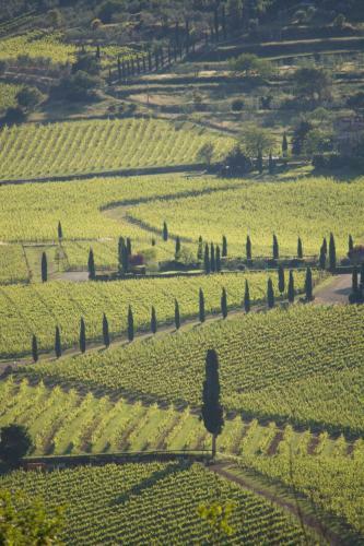 Agroturismo Fattoria Viticcio