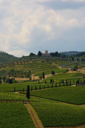 Agroturismo Fattoria Viticcio