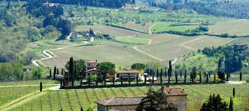 Agroturismo Fattoria Viticcio