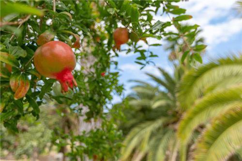 El Granero Paraiso Del Molinero