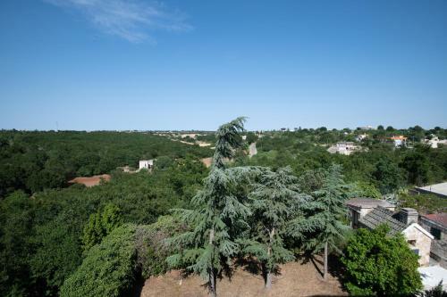Hostal Villa Intini - ?la Terrazza? Casa Vacanze