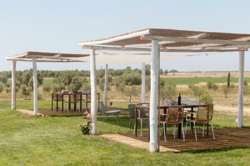 Agroturismo Casale Oliveta