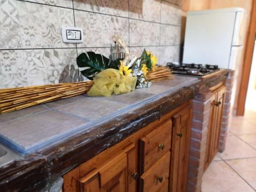 Apartamento Country House Mereu
