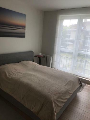 Apartament Na Piaskowej- Grzybowo