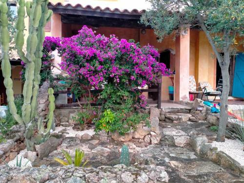 Apartamento Villa Bouganville Splendido Appartamento