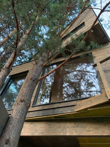 Bed & Breakfast My Tree Home Warszawa, Macierowe Bagno
