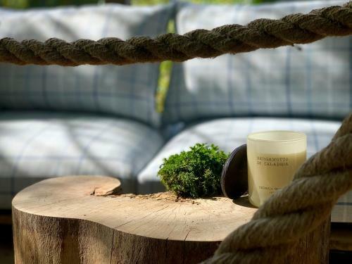 Bed & Breakfast My Tree Home Warszawa, Macierowe Bagno
