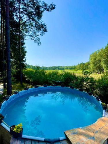 Bed & Breakfast My Tree Home Warszawa, Macierowe Bagno