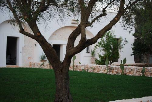 Charming And Luxury Villa Close To Ostuni