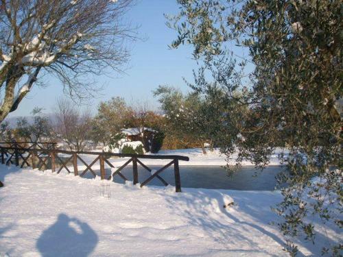 Agroturismo Poggio Agli Ulivi