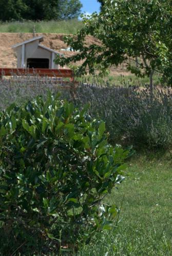 Bed And Breakfast La Cerasa