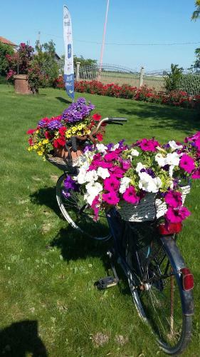 Villa Giusy B&B