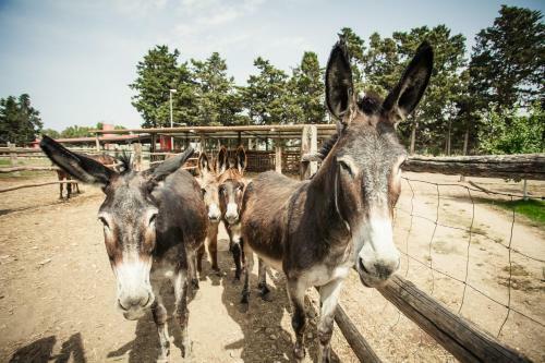 Agroturismo Agriturismo Archelao