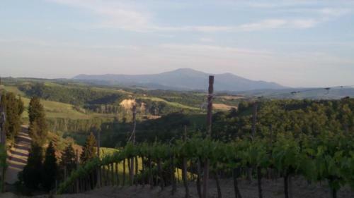 Agroturismo San Lorenzo Agriturismo