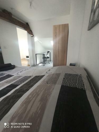 Apartamento Spacieux Et Confortable En Hyper Centre