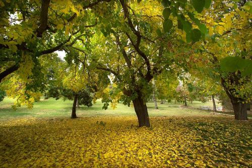 Agroturismo Borgo Della Marmotta