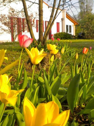 Agroturismo Agriturismo Il Magicorto
