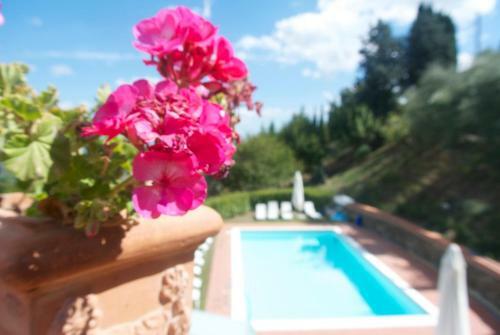 Bed & Breakfast Amoliv
