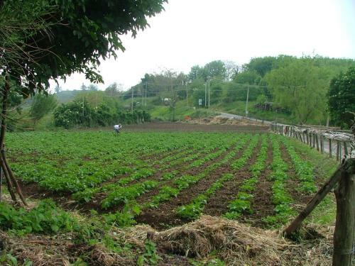 Agroturismo Agriturismo La Ginestra