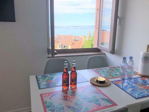 Apartamento Leman Lake Panoramic View - Evian-les-bains City Center
