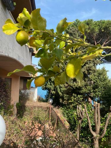 Apartamento Argentario? Tutto Da Scoprire
