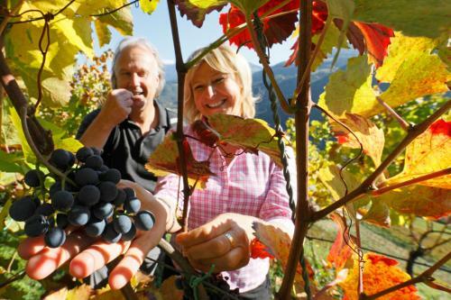 Agroturismo Hofer Hof